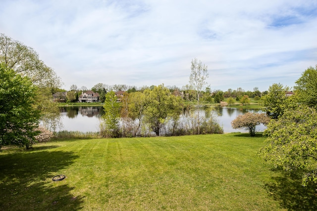 4364 Lake Forest Dr E, Ann Arbor, MI 48108 - photo 60