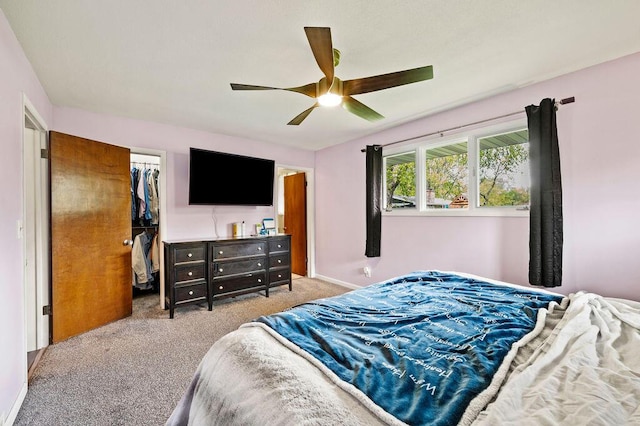 2655 Tanbark Trl, Saint Joseph, MI 49085 - bedroom with carpet, a walk in closet, ceiling fan, baseboards, and a closet