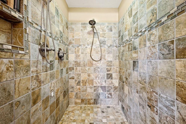 2655 Tanbark Trl, Saint Joseph, MI 49085 - full bathroom with a tile shower