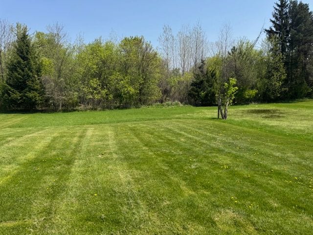 view of grassy yard