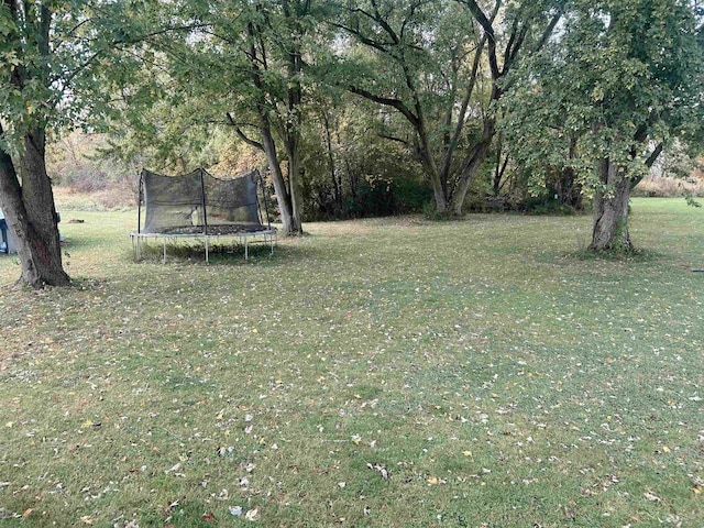 view of grassy yard with a trampoline