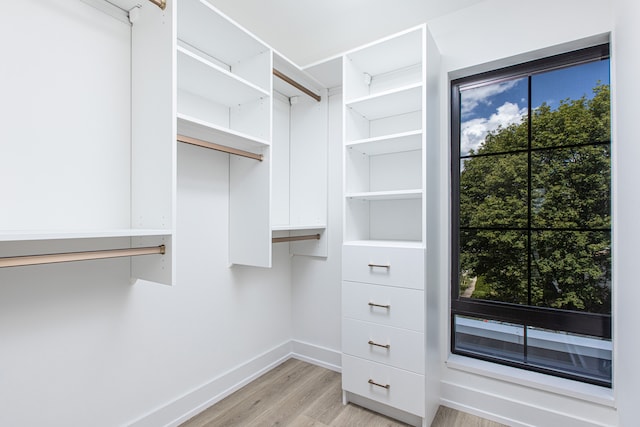 533 E Harrison Ave Unit 20, Royal Oak, MI 48067 - walk in closet featuring light wood-style floors