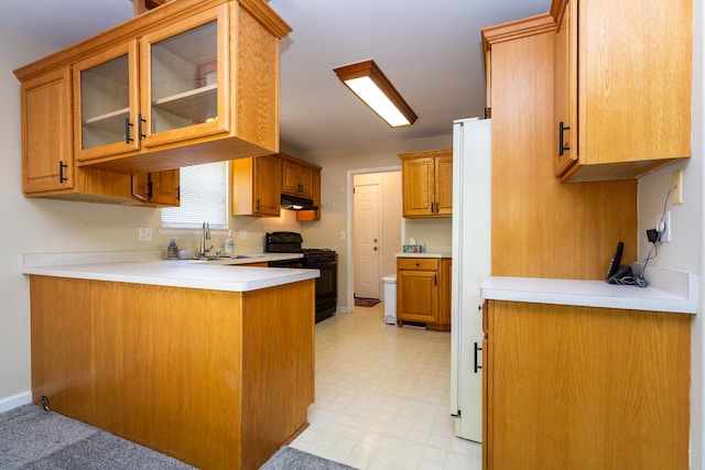 41944 Cherry Hill Rd, Novi, MI 48375 - kitchen with black gas stove, a peninsula, a sink, under cabinet range hood, and glass insert cabinets