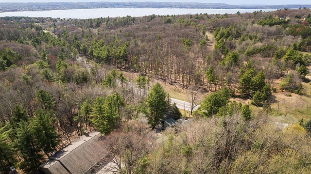 6636 Center Rd, Traverse City, MI 49686 - photo 39