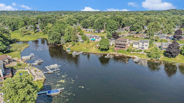 926 Brighton Lake Rd, Brighton, MI 48116 - view of property location featuring a forest and a large body of water
