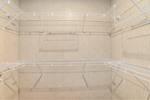 6922 Knotty Pine St NE, Rockford, MI 49341 - view of walk in closet