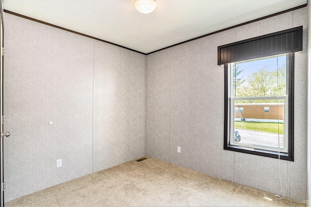 6922 Knotty Pine St NE, Rockford, MI 49341 - empty room featuring carpet flooring and ornamental molding