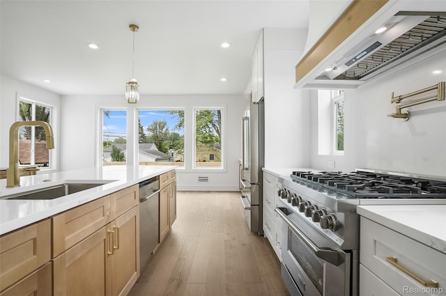 4112 Elmhurst Ave, Royal Oak, MI 48073 - kitchen with high quality appliances, a sink, premium range hood, light countertops, and wood finished floors