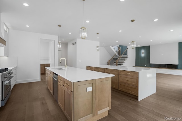 4112 Elmhurst Ave, Royal Oak, MI 48073 - kitchen with stainless steel appliances, a large island, dark wood finished floors, a sink, and recessed lighting