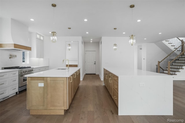 4112 Elmhurst Ave, Royal Oak, MI 48073 - kitchen featuring stainless steel range, premium range hood, a spacious island, a sink, and dark wood-style floors