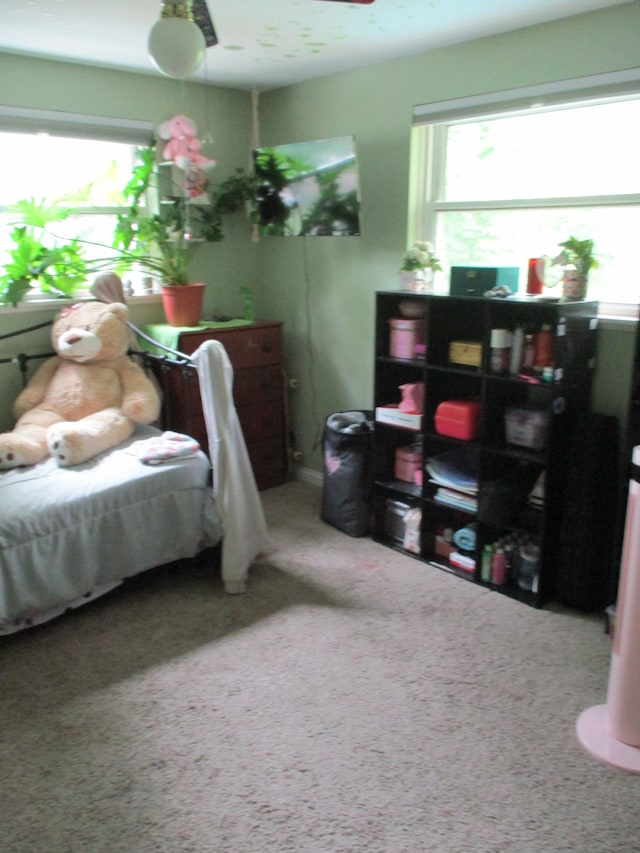 7140 Ridgedale Ln, Lambertville, MI 48144 - bedroom with carpet flooring