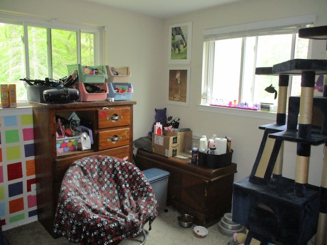 7140 Ridgedale Ln, Lambertville, MI 48144 - view of living area