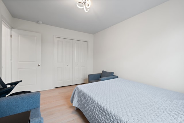 1071 N Sherman Dr Unit B, Royal Oak, MI 48067 - bedroom featuring light wood-type flooring and a closet