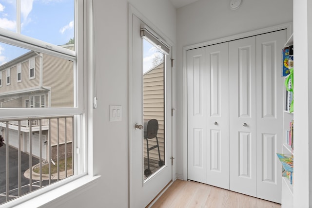1071 N Sherman Dr Unit B, Royal Oak, MI 48067 - entryway with light wood-style flooring
