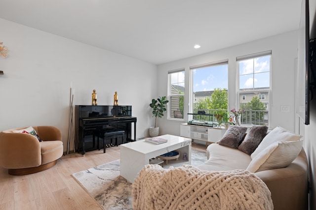 1071 N Sherman Dr Unit B, Royal Oak, MI 48067 - living room with light wood finished floors and recessed lighting