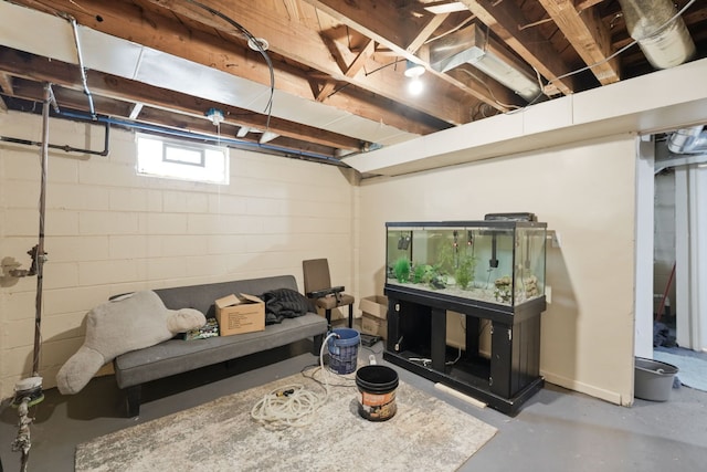 below grade area featuring concrete block wall