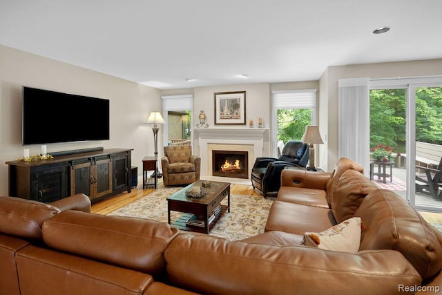 5117 Woodview Ct, Dearborn, MI 48126 - living area featuring a lit fireplace, healthy amount of natural light, and light wood-style floors