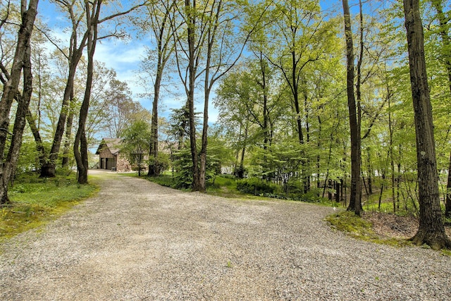 14965 Loon Lake Dr, Bellevue, MI 49021 - view of dirt / gravel road