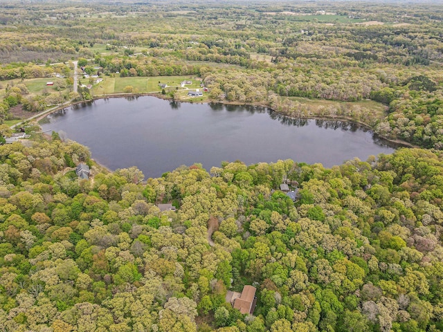 14965 Loon Lake Dr, Bellevue, MI 49021 - aerial view of property's location with a large body of water and a heavily wooded area