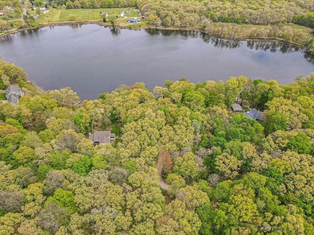 14965 Loon Lake Dr, Bellevue, MI 49021 - aerial overview of property's location with a heavily wooded area and a nearby body of water