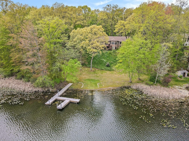 14965 Loon Lake Dr, Bellevue, MI 49021 - view of subject property with a nearby body of water and a forest