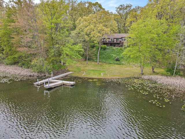 14965 Loon Lake Dr, Bellevue, MI 49021 - dock with a water view