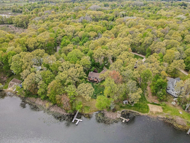14965 Loon Lake Dr, Bellevue, MI 49021 - drone / aerial view of a large body of water and a heavily wooded area