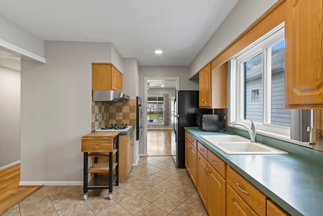 kitchen featuring appliances with stainless steel finishes, a sink, under cabinet range hood, tasteful backsplash, and healthy amount of natural light