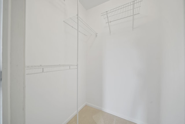 1287 Deer Run, Grass Lake, MI 49240 - walk in closet with light colored carpet