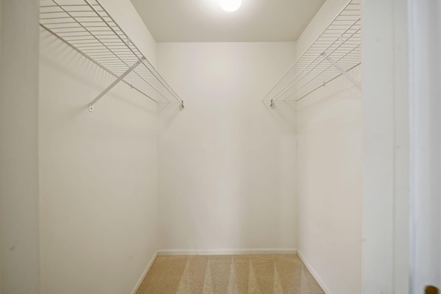 1287 Deer Run, Grass Lake, MI 49240 - spacious closet with carpet flooring