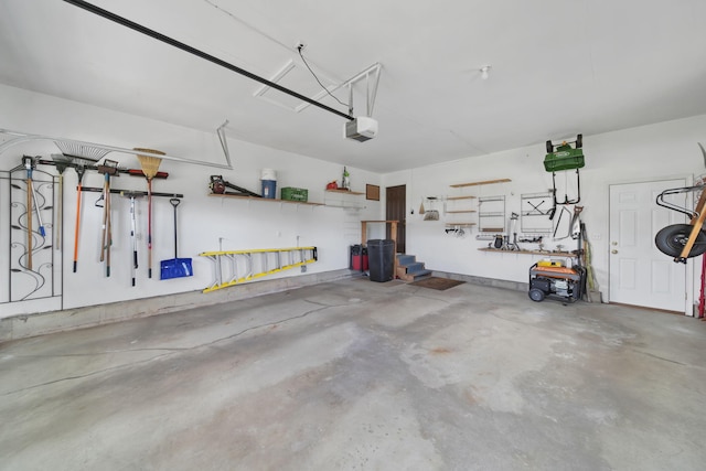 1287 Deer Run, Grass Lake, MI 49240 - garage with a garage door opener