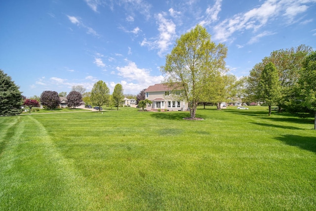 1287 Deer Run, Grass Lake, MI 49240 - view of grassy yard