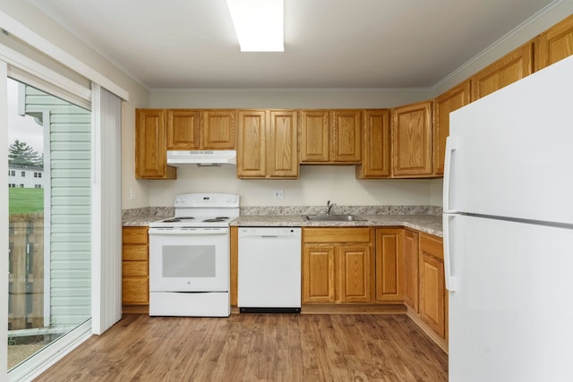 1141 Marquette Ct, Rochester Hills, MI 48307 - kitchen with white appliances, under cabinet range hood, a sink, light wood-style floors, and light countertops