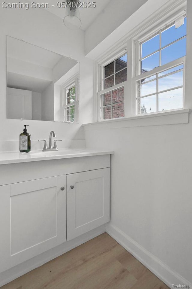29290 Prestwick St, Southfield, MI 48076 - bathroom featuring wood finished floors, vanity, and baseboards