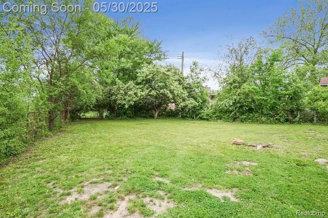 29290 Prestwick St, Southfield, MI 48076 - view of yard
