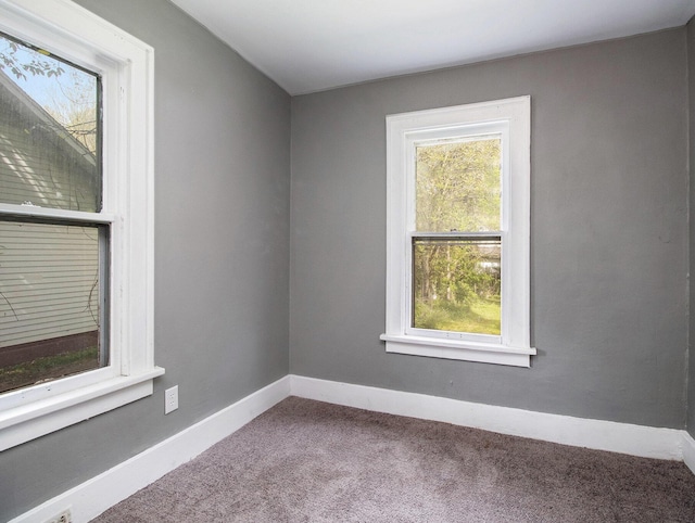 spare room with plenty of natural light, carpet flooring, and baseboards