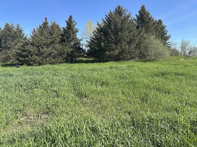 5342 E Fountain Rd, Fountain, MI 49410 - view of yard