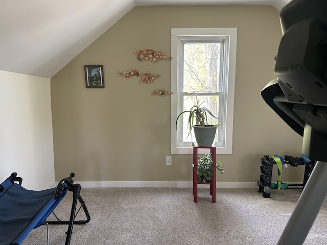 5342 E Fountain Rd, Fountain, MI 49410 - workout room featuring lofted ceiling and carpet floors