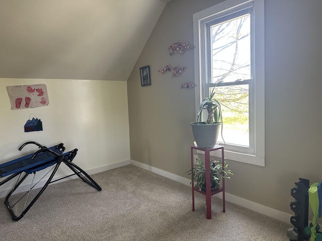 5342 E Fountain Rd, Fountain, MI 49410 - exercise room featuring plenty of natural light, lofted ceiling, and carpet flooring