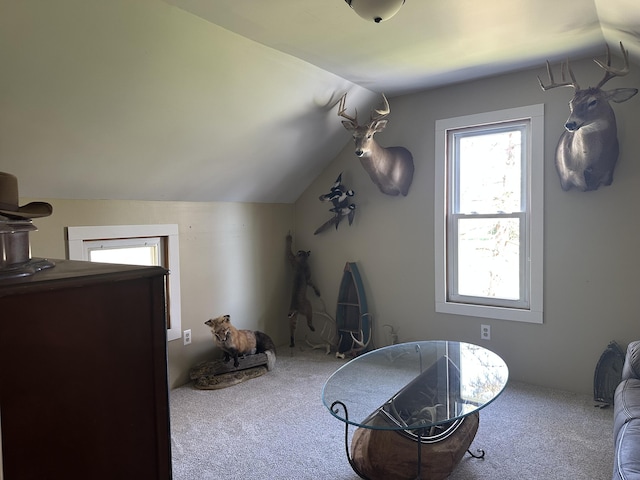 5342 E Fountain Rd, Fountain, MI 49410 - bonus room featuring carpet and vaulted ceiling