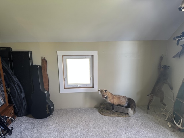 5342 E Fountain Rd, Fountain, MI 49410 - miscellaneous room featuring carpet flooring