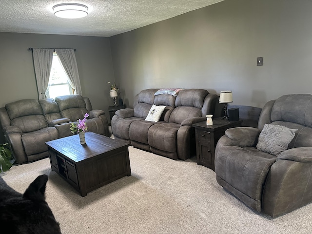 5342 E Fountain Rd, Fountain, MI 49410 - living area featuring light colored carpet and a textured ceiling