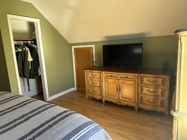 5342 E Fountain Rd, Fountain, MI 49410 - bedroom with lofted ceiling, light wood-style flooring, and a closet