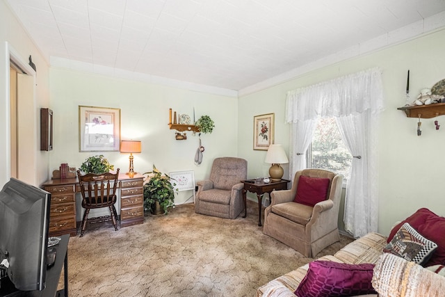 2103 E Newark Rd, Lapeer, MI 48446 - view of carpeted living room