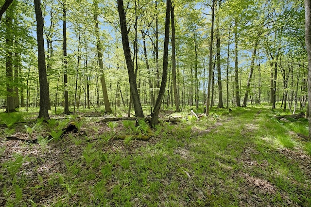 2103 E Newark Rd, Lapeer, MI 48446 - view of undeveloped land