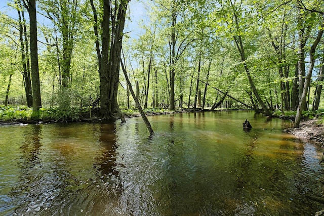 2103 E Newark Rd, Lapeer, MI 48446 - water view