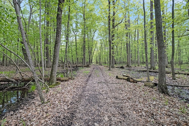 2103 E Newark Rd, Lapeer, MI 48446 - view of tree filled area
