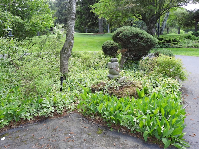 2103 E Newark Rd, Lapeer, MI 48446 - view of green lawn