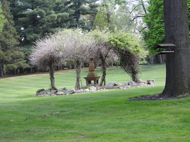 2103 E Newark Rd, Lapeer, MI 48446 - view of community with a lawn