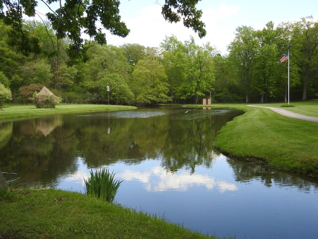 2103 E Newark Rd, Lapeer, MI 48446 - water view with a forest